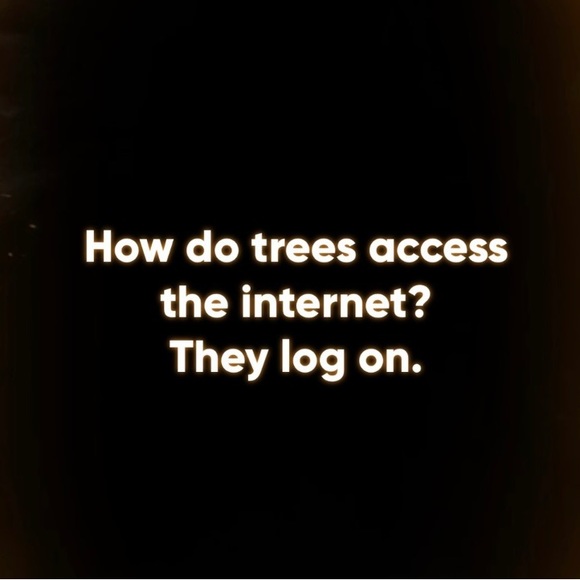 Meet your Posher, Laura - Picture 8 of 8